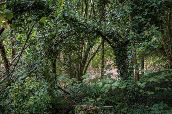 Terrain de loisirs, pêche, détente, Voie Verte