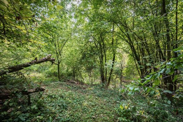 Terrain de loisirs, pêche, détente, Voie Verte