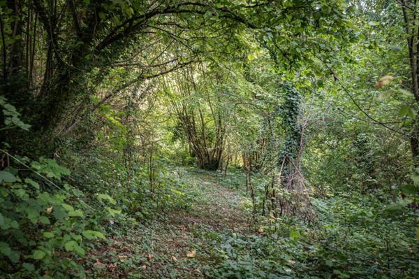 Terrain de loisirs, pêche, détente, Voie Verte