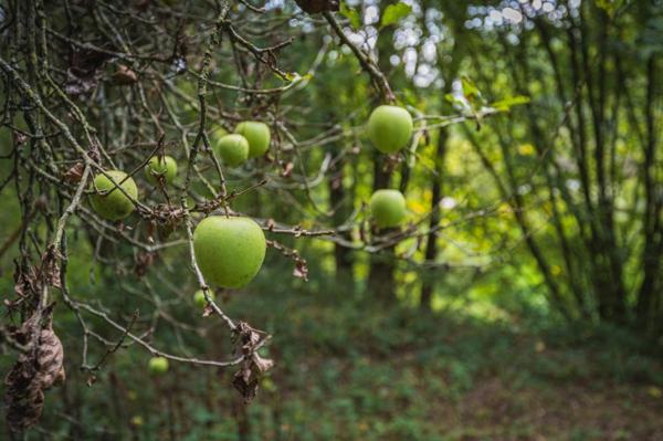 Terrain de loisirs, pêche, détente, Voie Verte