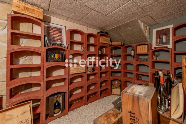 Maison 7 pièces - 223 m² Bien prestige