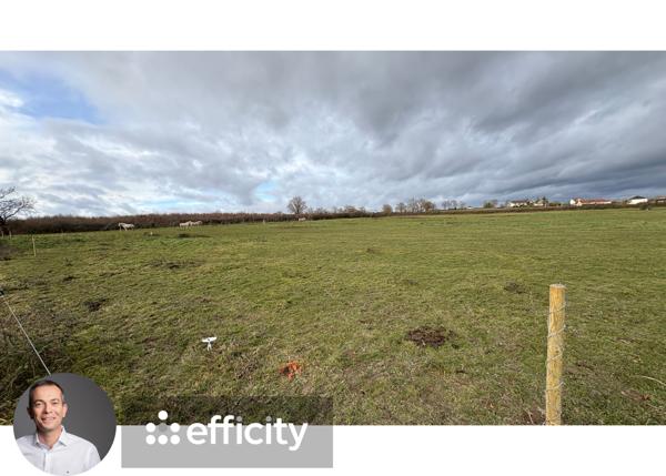 Terrain - 1202 m²