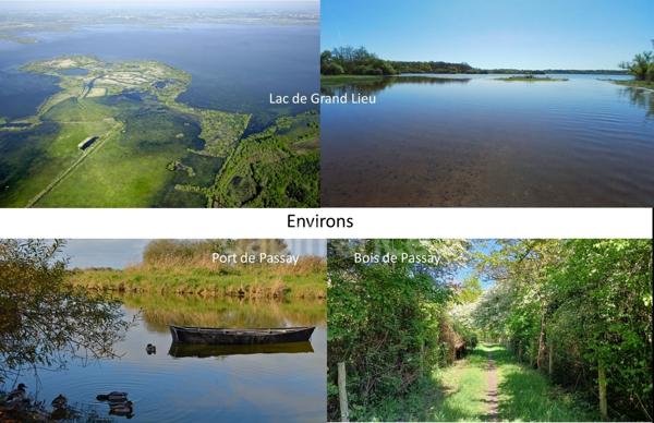 Maison à vendre, havre de paix entre lac et nature – Passay, La Chevrolière (44)