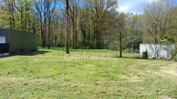 Havre de paix entre lac et nature – Passay, La Chevrolière (44)