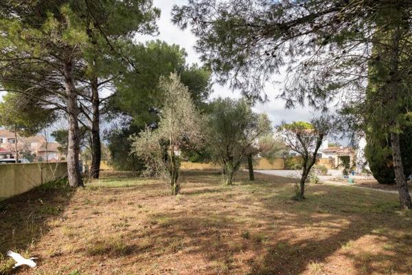 Terrain à vendre 348 480 € Saint-Jean-de-Védas 630 m² DPE