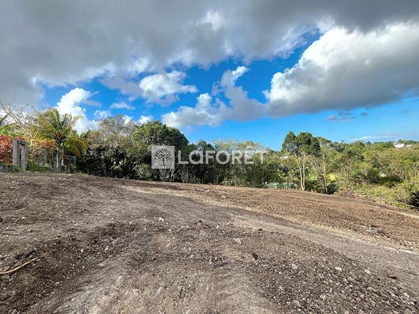 Achat terrain Le Moule - 1010 m² - 140 000 €