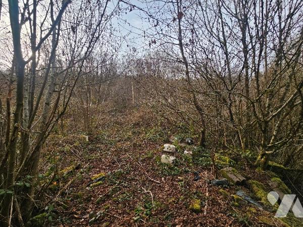 14569
A LE CLERJUS (88220) 24 Les Quennechelles