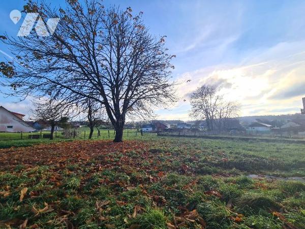 Maison à vendre Saules