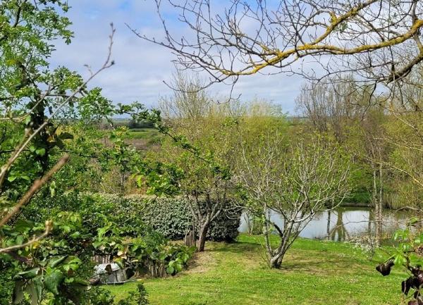 Terrain à vendre    Jard-sur-Mer