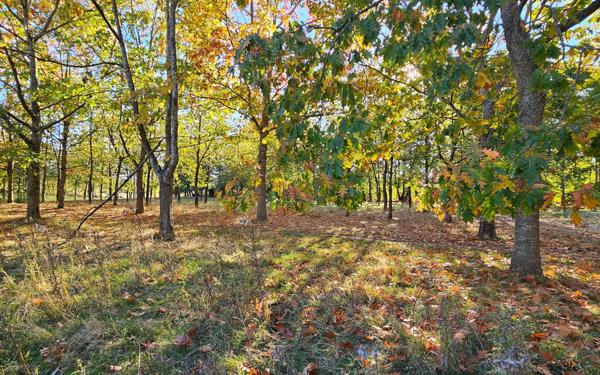 Maison à vendre    16 pièces •  Saint-Laon