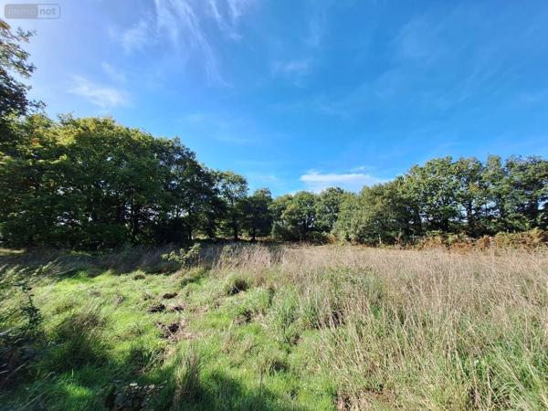 Maison à vendre à Mauron dans le Morbihan (56430), ref : 05911