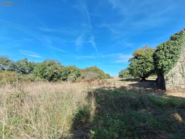 Maison à vendre à Mauron dans le Morbihan (56430), ref : 05911