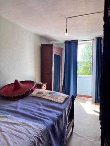 Maison mitoyenne en pierre, terrain et dépendance