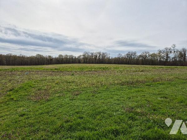 A quelques kilomètres de GRAY, ensemble immobilier sur environ 7 hectares de terres libres.