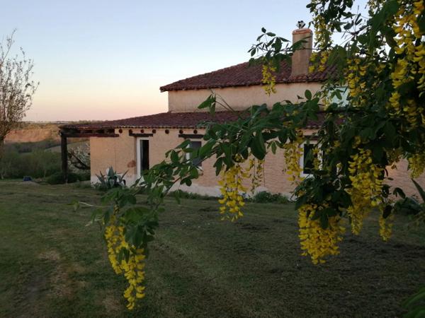Maison, grange, atelier, hangar et terrain offrant une vue imprenable