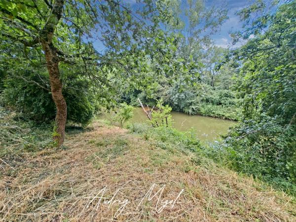 Maison en pierre au cœur de la nature, 109m², 3 chambres, garage et grande dépendance, au bord d'une rivière, terrain 1 hectare