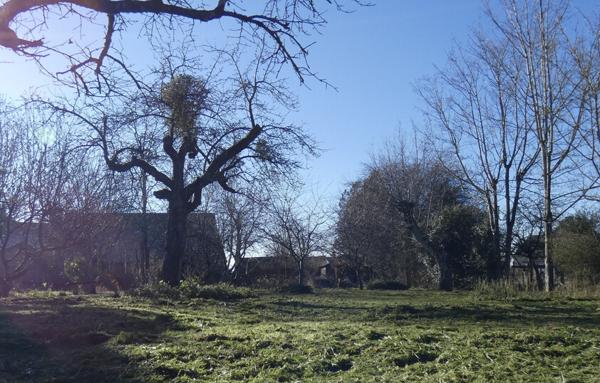 Maison 220m2 sur terrain 1900m2