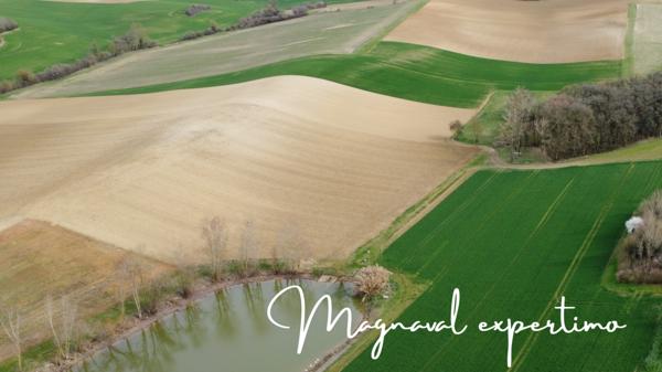 Mauvezin (32120) 38 Ha de Terres agricoles grandes cultures groupées avec 2 lacs d’irrigations dans le GERS 32