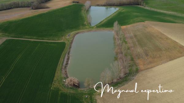 Mauvezin (32120) 38 Ha de Terres agricoles grandes cultures groupées avec 2 lacs d’irrigations dans le GERS 32