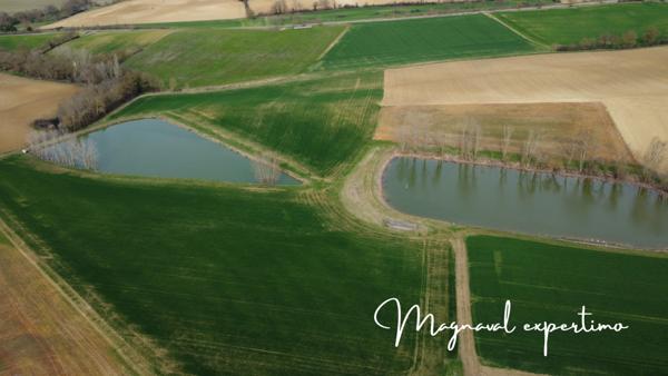 Mauvezin (32120) 38 Ha de Terres agricoles grandes cultures groupées avec 2 lacs d’irrigations dans le GERS 32