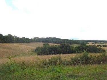 Terrain agricole à vendre à Brunelles dans l'Eure-et-Loir (28400), ref : ARC 1003