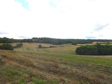 Terrain agricole à vendre à Brunelles dans l'Eure-et-Loir (28400), ref : ARC 1003