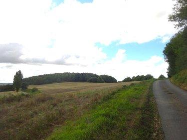 Terrain agricole à vendre à Brunelles dans l'Eure-et-Loir (28400), ref : ARC 1003