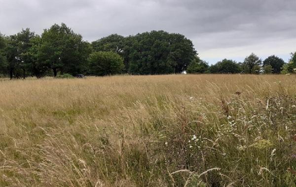 Vente Terrain Saint-priest-sous-aixe   
