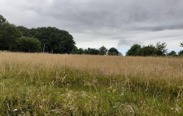 Vente Terrain Saint-priest-sous-aixe   