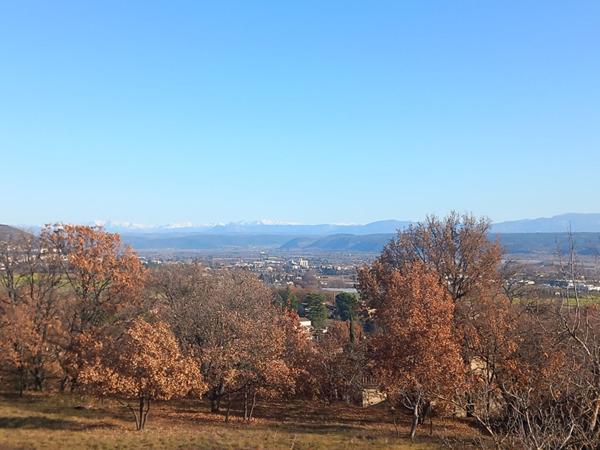 MAISON T4 EN LOCATION PLAIN PIED