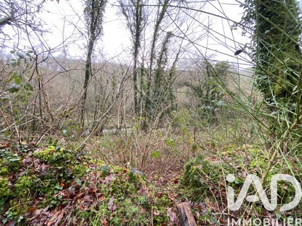 Terrain à vendre 34 801 m² Lannéanou