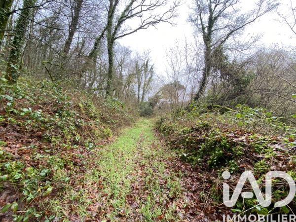 Terrain à vendre 34 801 m² Lannéanou