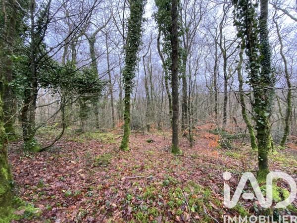 Terrain à vendre 34 801 m² Lannéanou