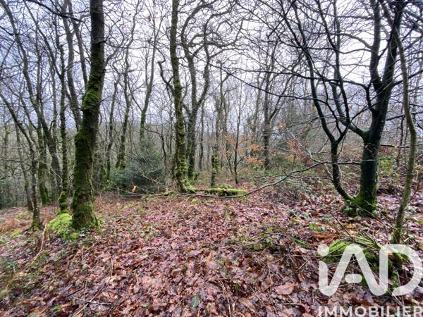 Terrain à vendre 34 801 m² Lannéanou