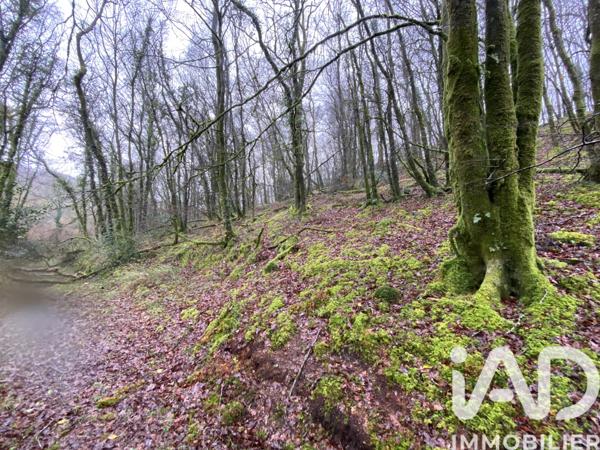 Terrain à vendre 34 801 m² Lannéanou