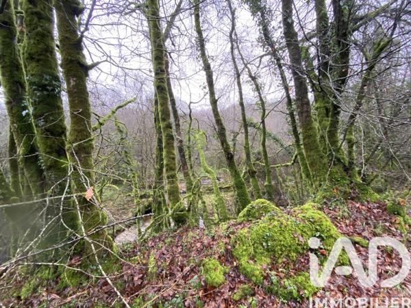 Terrain à vendre 34 801 m² Lannéanou