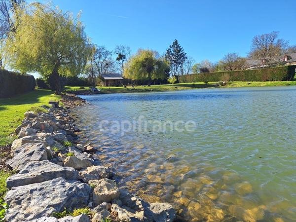Terrain avce étang à MONTIGNE LE BRILLANT (53)