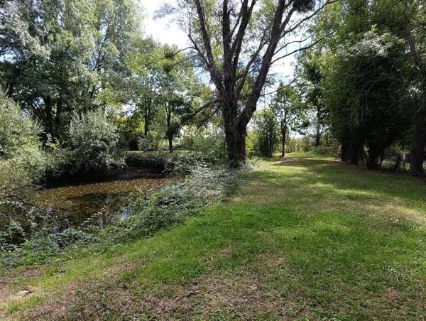 Achat - Terrain de loisirs, bois, étangs Savigné-sur-Lathan 37340 3110 m 2