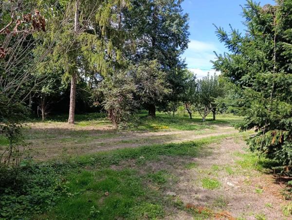 Achat - Terrain de loisirs, bois, étangs Savigné-sur-Lathan 37340 3110 m 2