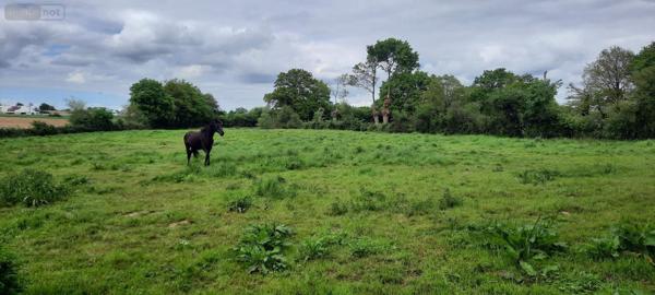 Maison à vendre à Martigné-Ferchaud en Ille-et-Vilaine (35640), ref : 122/3031