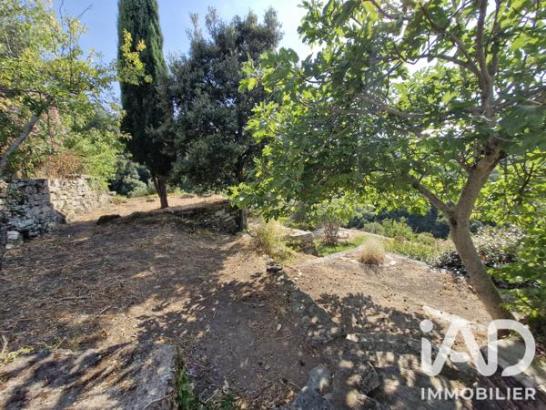 Maison à vendre 7 pièces 110 m² Oletta