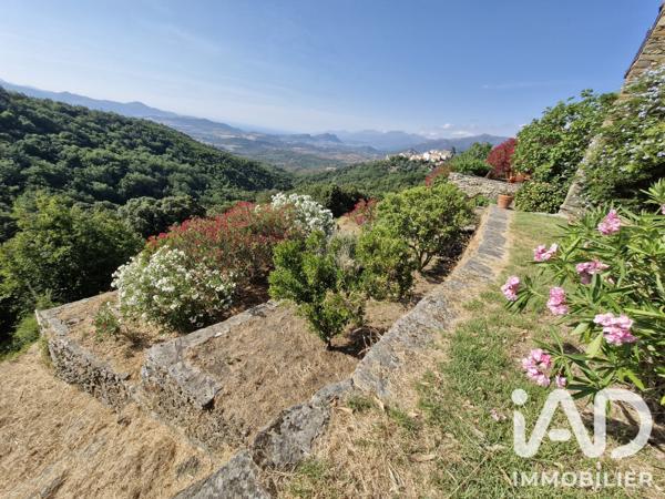 Maison à vendre 7 pièces 110 m² Oletta