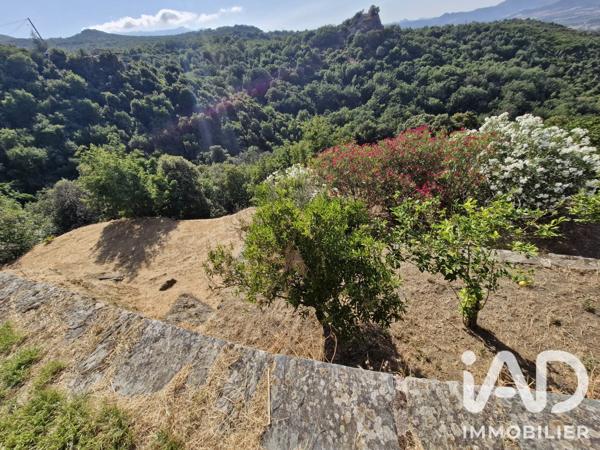 Maison à vendre 7 pièces 110 m² Oletta