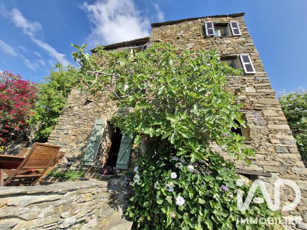 Maison à vendre 7 pièces 110 m² Oletta