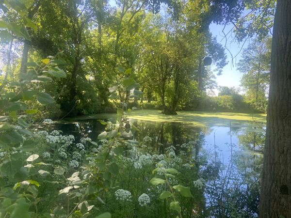 ANCIEN CORPS DE FERME A RENOVER SUR 4 HECTARES
