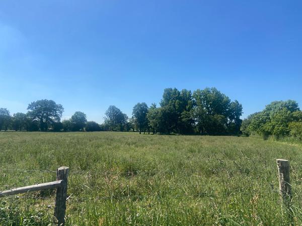 ANCIEN CORPS DE FERME A RENOVER SUR 4 HECTARES