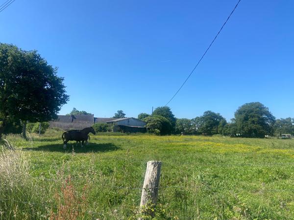 ANCIEN CORPS DE FERME A RENOVER SUR 4 HECTARES