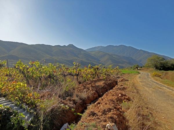 Dpt Pyrénées Orientales (66), à vendre ESPIRA DE CONFLENT terrain constructible de 535 m², plat