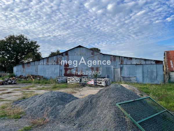 Terrain à OMBREE D ANJOU, 49420 - 10075m²
