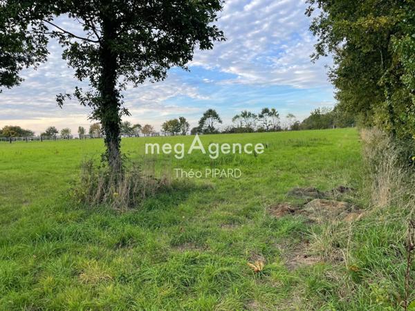 Terrain à OMBREE D ANJOU, 49420 - 10075m²